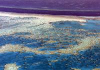Great Barrier Reef 1001 Great Barrier Reef, Queensland